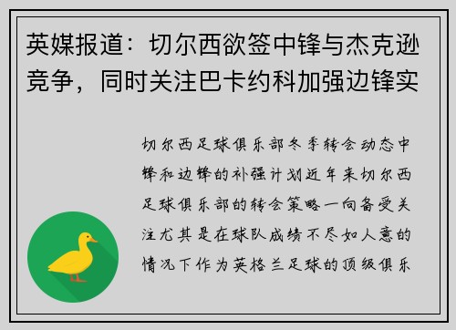 英媒报道：切尔西欲签中锋与杰克逊竞争，同时关注巴卡约科加强边锋实力